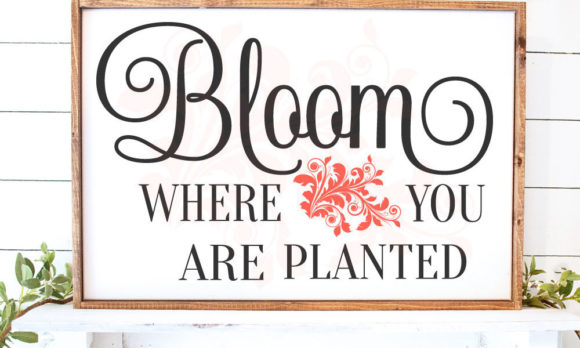Download Bloom Where You Are Planted Decor - Premium Resources